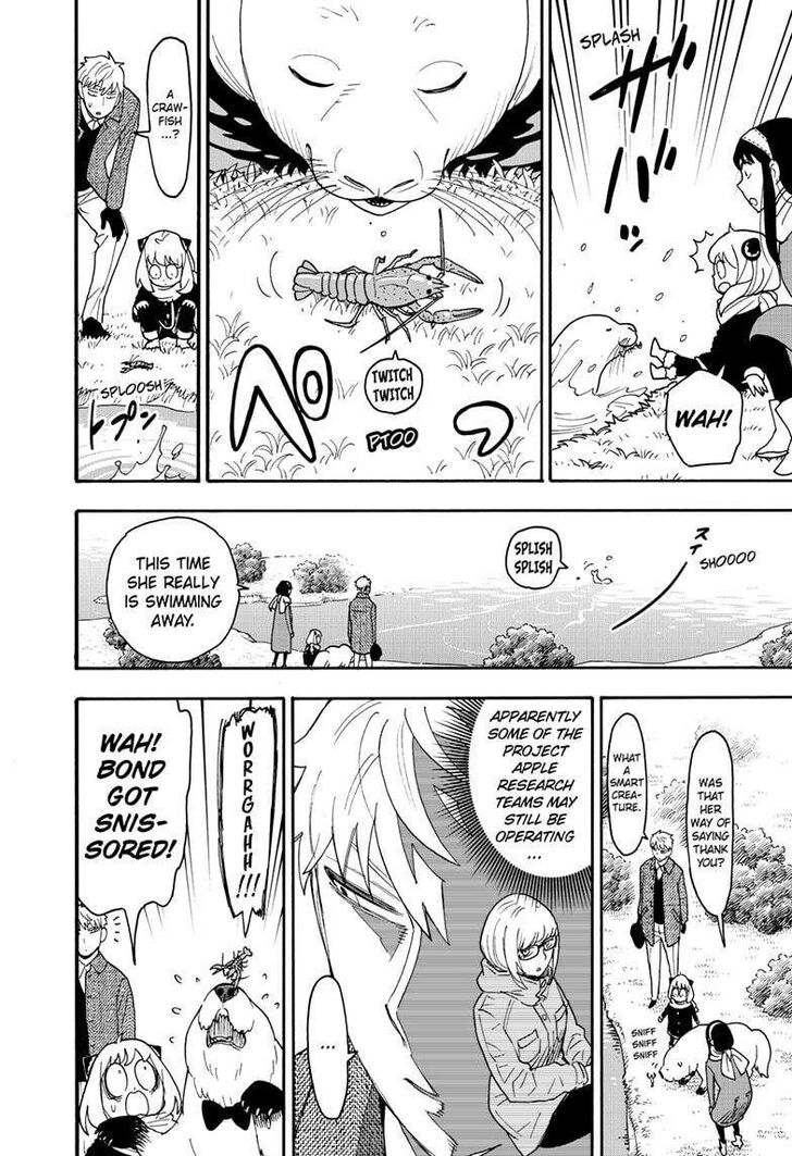 Spy x Family, Chapter 103 image 16